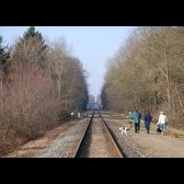 kersenlijn-1